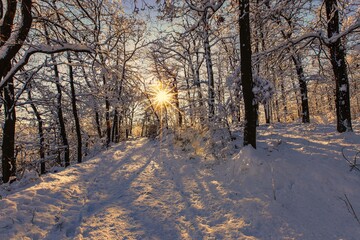 Winter