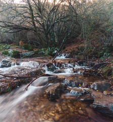 Mountain landscape with a waterfall of a river and a forest. Long exposure