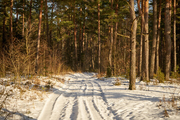leśna zimowa ścieżka © Marcin Łazarczyk