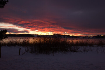 peacful winter evening mood at the lake of pfaeffikon (Pfäffikersee)