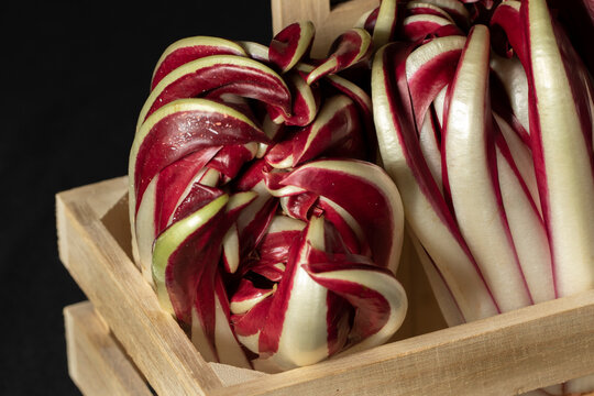 Radicchio di Treviso (dettaglio)