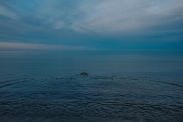 Fototapeta premium Hund schwimmt im Meer