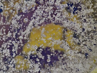 Gefrorenes Eis mit Blatt