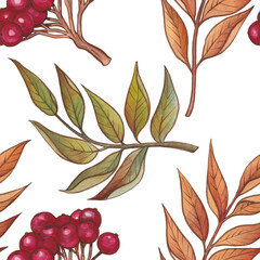 Watercolor autumn seamless pattern. Gold, orange, burgundy, brown and red leaves and autumn berries