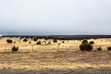Various bushes dotting vast open yellow fields with vintage barbwire fence in rural New Mexico on cloudy day