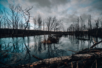 Rainy  cloudscape over a forest swamp with bare leafless tree reflections in Norderney, Germany