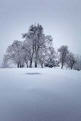 Epicki Zimowy Krajobraz - obrazy, fototapety, plakaty