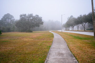 A Florida community in a foggy winter morning 