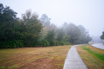 A Florida community in a foggy winter morning 