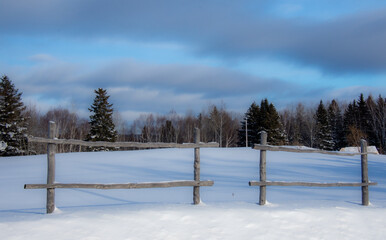 Winter landscape during a heavy snowfall