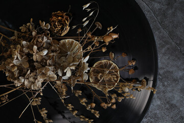 dried leaves on a black background