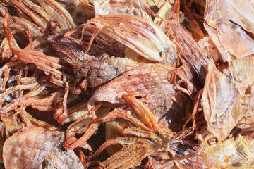 Fish drying in the sun, Nazaré, Portugal