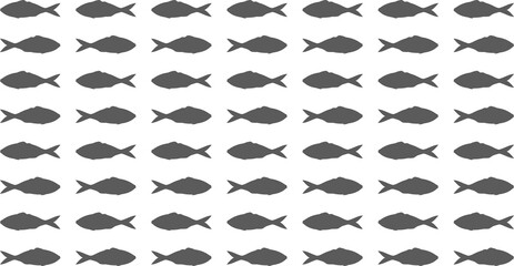 Ocean fish pattern on a white background. Black, gray vector marine fish silhouettes isolated on white background. Rows of crucians swimming in different directions.