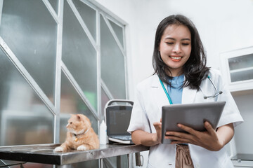 young veterinarian smiling while using digital tablet near a cat sits on the table at the vet clinic