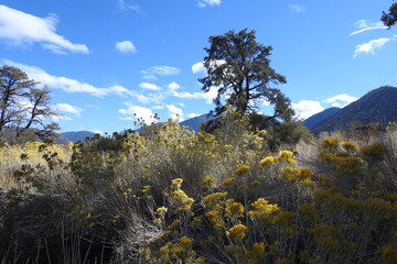 The beautiful scenery of the Angeles National Forest, San Gabriel Mountains, California.