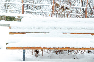 snow covered bench, bench in the snow