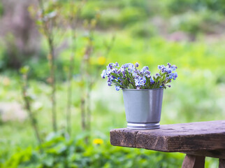 Forget-me-not flowers bouquet outdoors