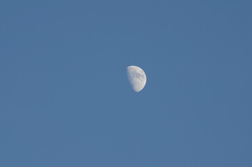 Moon seen in the daytime 