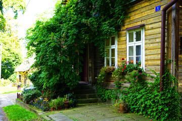 Fototapeta na wymiar old house in the garden