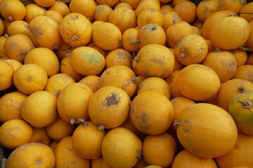 Kleine gelbe Kürbisse