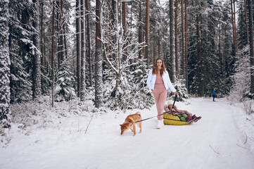 Fototapeta na wymiar Happy mother and little cute girl in pink warm outwear walking having fun rides inflatable snow tube with red shiba inu dog in snowy white winter forest outdoors. Family sport vacation activities