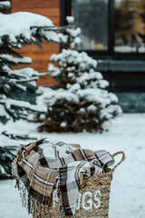 Winter Picnic. Wicker basket with plaids against a backdrop of snow-covered trees. Vertical image.