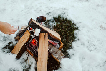 Winter Picnic. A bonfire in the snow and a hand with a marshmallow on a stick. Horizontal image.