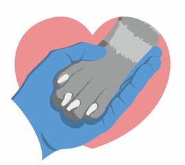 The hand of veterinarian in a medical glove gently holds a dog's paw on the background of a pink heart. Zoologist and animal. Symbol of love for dogs. Animal protecting community.