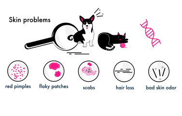 Cat and Dog skin problems.Infographic icons with different symptoms,allergy,itching and scabs.Feline,canine health.Horizontal veterinary banner.Zooming of hair loss,pimples.Animal parasites.Vector