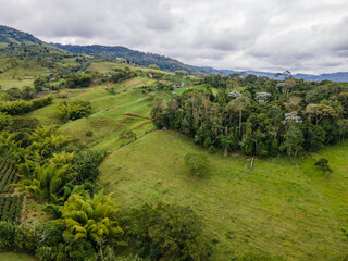 aerial photography of a forest surrounded by pasture