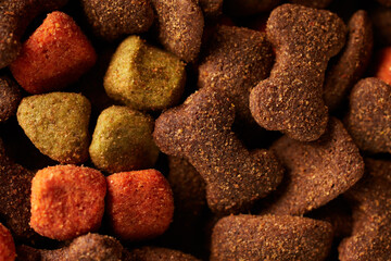 Closeup of dried dog food background