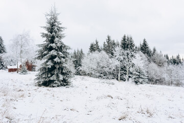 Idyllic wooden country house set against a beautiful winter landscape. environmentally friendly tiny house