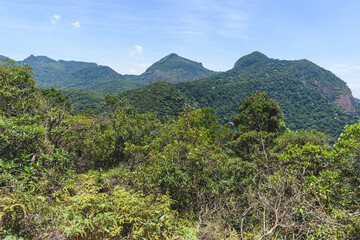 Fototapeta na wymiar Mirante da Cumeeira, Parque Nacional da Tijuca. O mirante fica na travessia Paineiras x Mesa do Imperador.