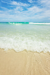 Figueira, Arraial do Cabo, Rio de Janeiro.