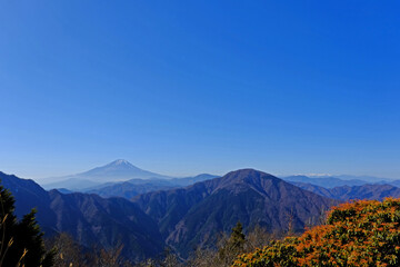 丹沢の袖平山ヵら撮影した風景　広い青空に、富士山や南アルプスなど山々が眼下に広がる