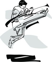 the vector illustration of the karate fighter © xamyak13
