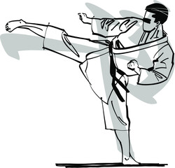 the vector illustration of the karate fighter