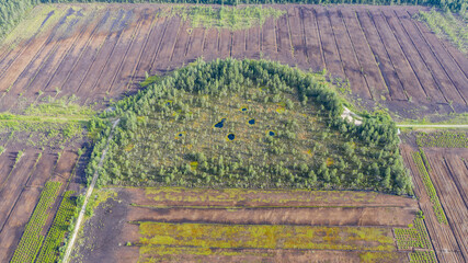 Aerail of the partly destroyed bog landscape