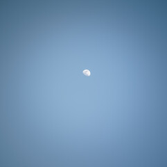 moon in the sky