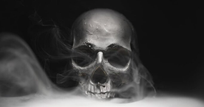 Black skull in the darkness with smoke and fog