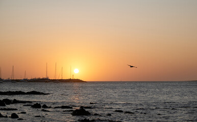 the sunset colors in the horizon