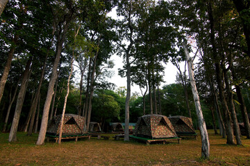 Fototapeta premium camping tents at the outdoor camp site