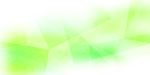 新緑　和紙　自然　背景