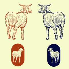 Vintage hand drawn goats