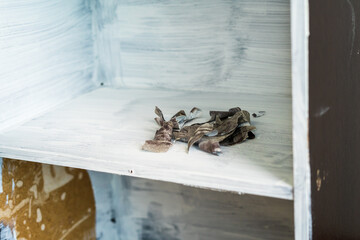 Obraz premium Destroyed Laminated shelf. Broken Old book shelvels With Damage. Peel off the laminated sticker.