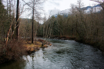 river in the woods