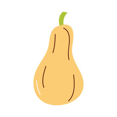 squash vegetable icon vector design