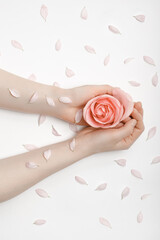 Beautiful hands of a woman holding a rosebud lying on a white background. concept of skin care, moisturizing and reducing wrinkles
