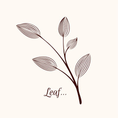 Beautiful Monochrome Contour Leaf, Floral Design Element. esthetic poster