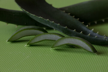 Aloe vera leaves with slices on green background. selective focus